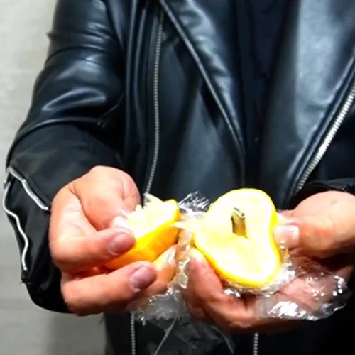 Bill In Lemon - Image 4