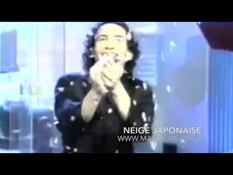 Neige Japonaise Eco (Snow Storm) - Image 3